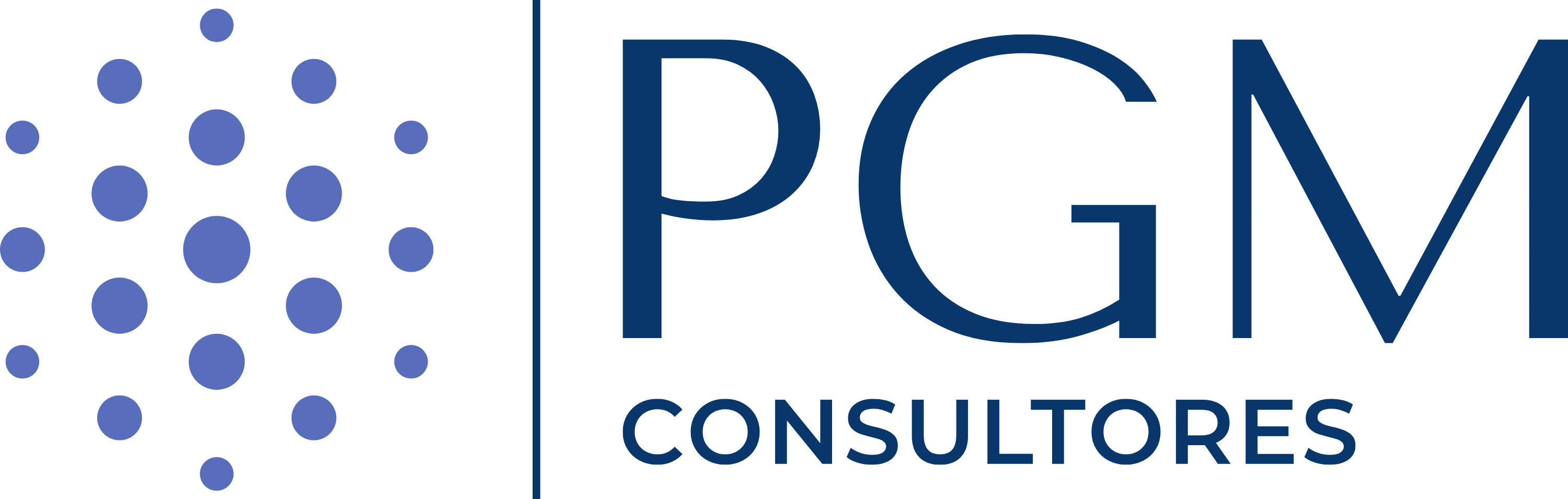 PGM Consultores